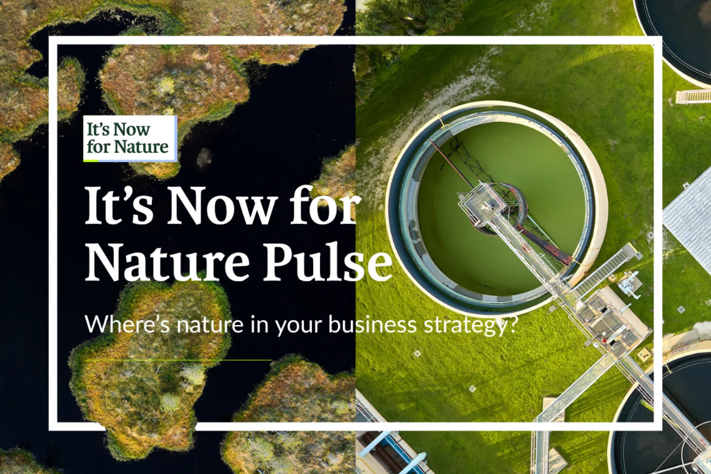 Make the business case for nature - Business For Nature