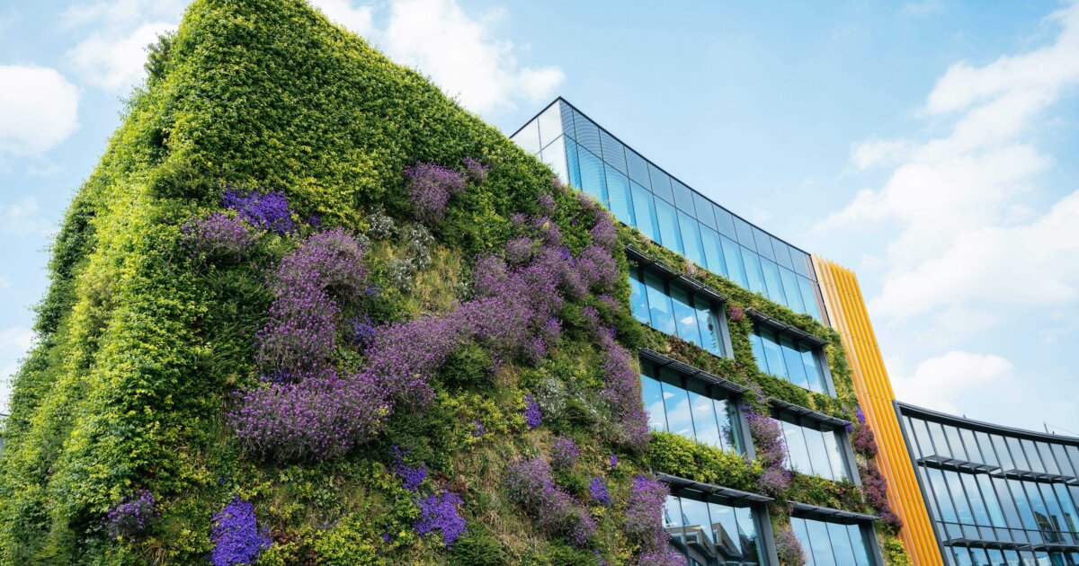 Our strategy - Business For Nature