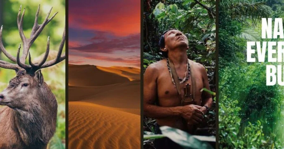 July 2023 news update: Help keep nature on the global agenda - Business ...