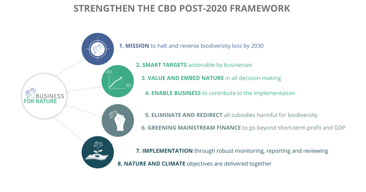 Progress made in Post-2020 Global Biodiversity Framework, but overall ...