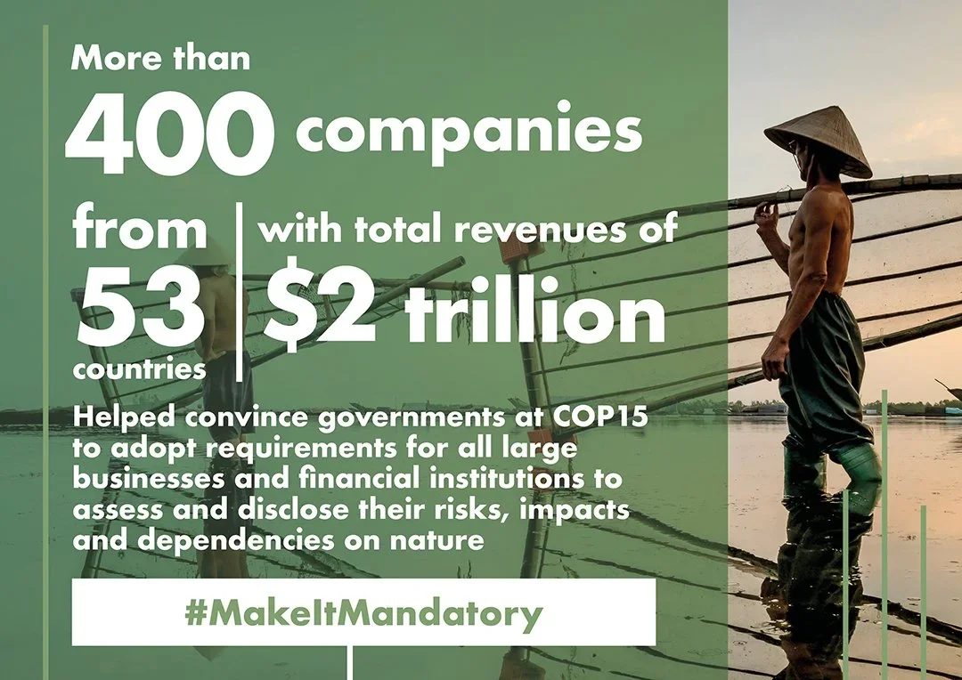 Make it Mandatory campaign - Business For Nature