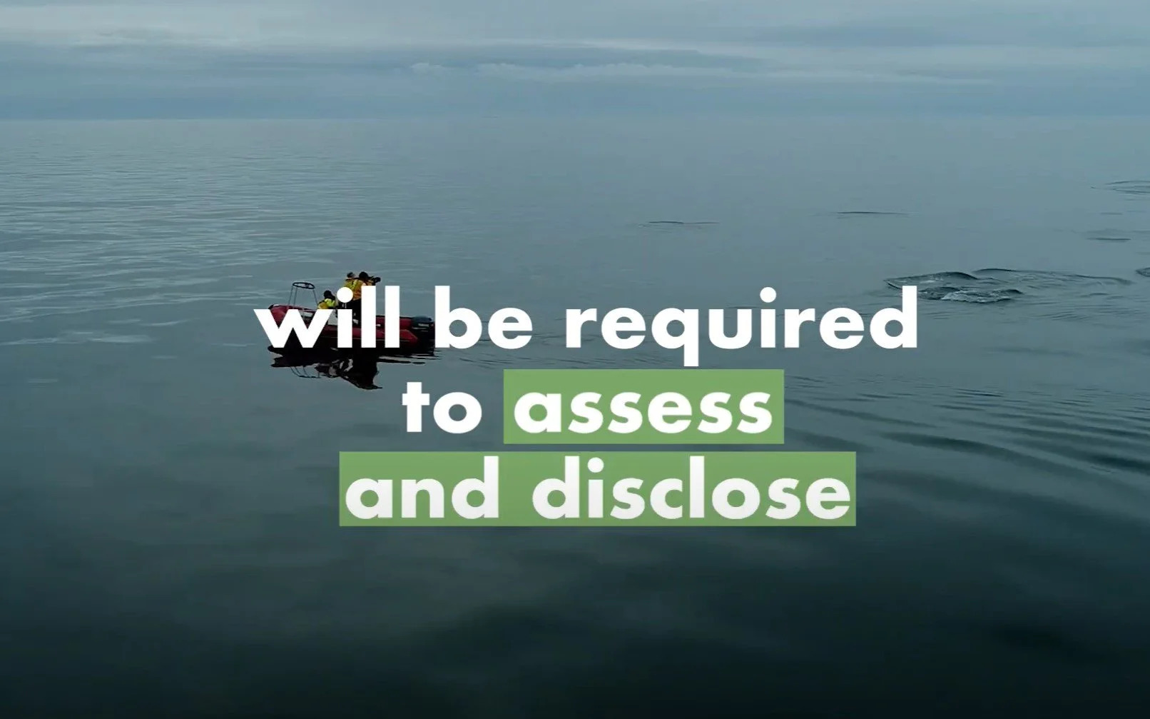 A wake-up call for companies: What Target 15 of the Global Biodiversity ...