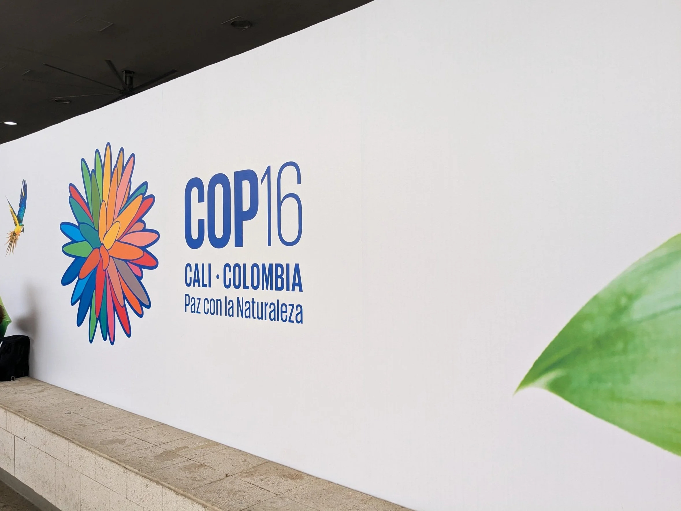 UN Biodiversity COP16: A step forward, but not far enough - Business ...